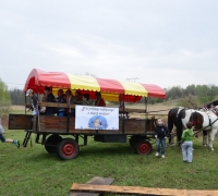 tn_Urodziny Stajnia Mirabell (41)