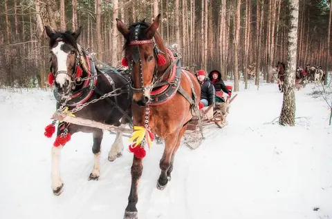 Kulig zimowy