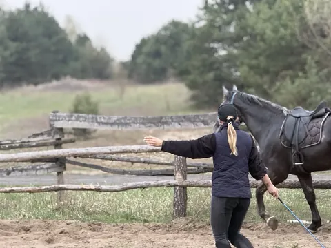 Praca i trening konia